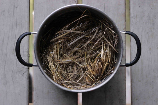 Making Paper from Beach Grass