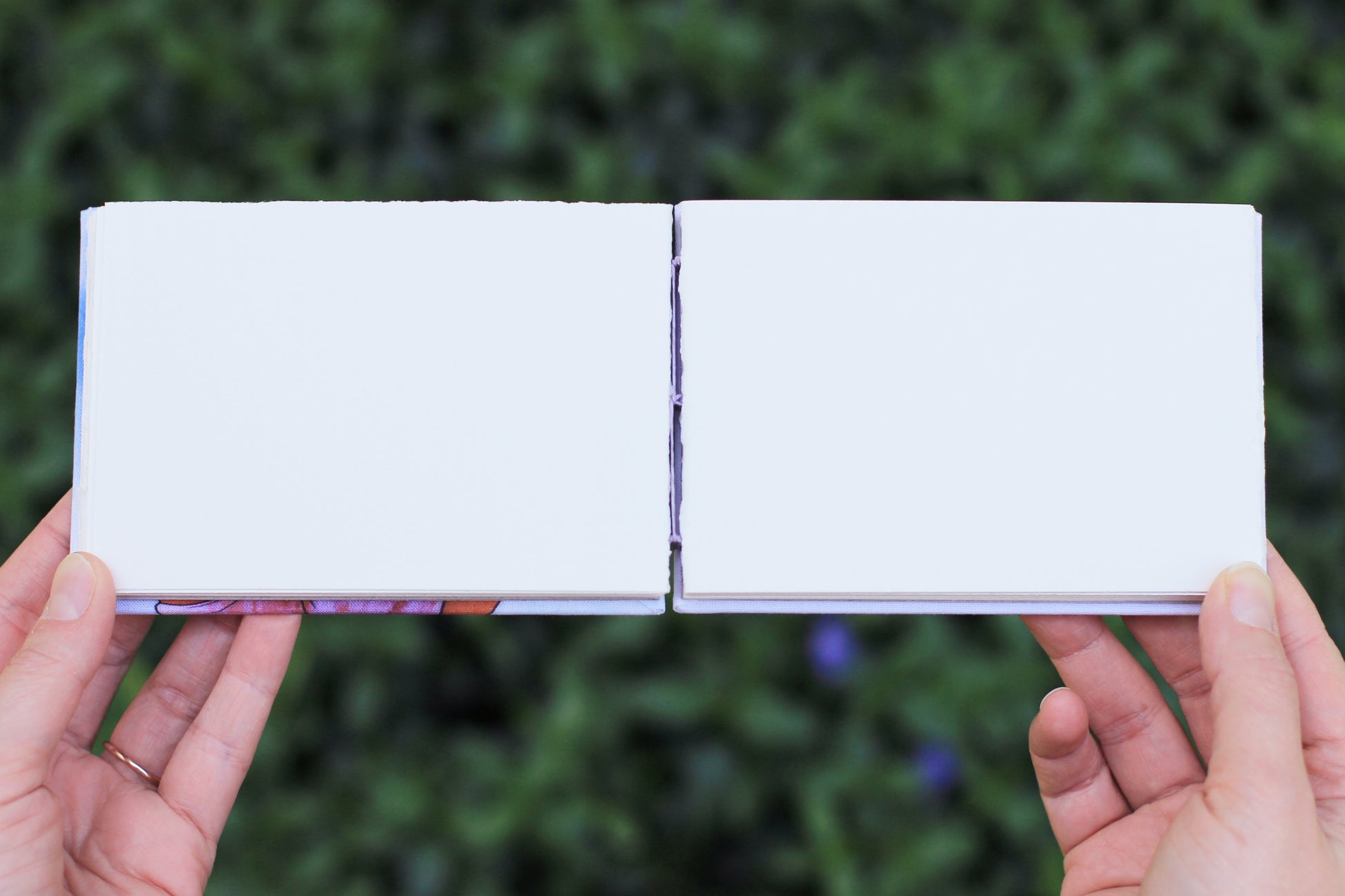 hand holding Emmylou Smith Lake Michigan Book Press sketchbook. Leafy green background.