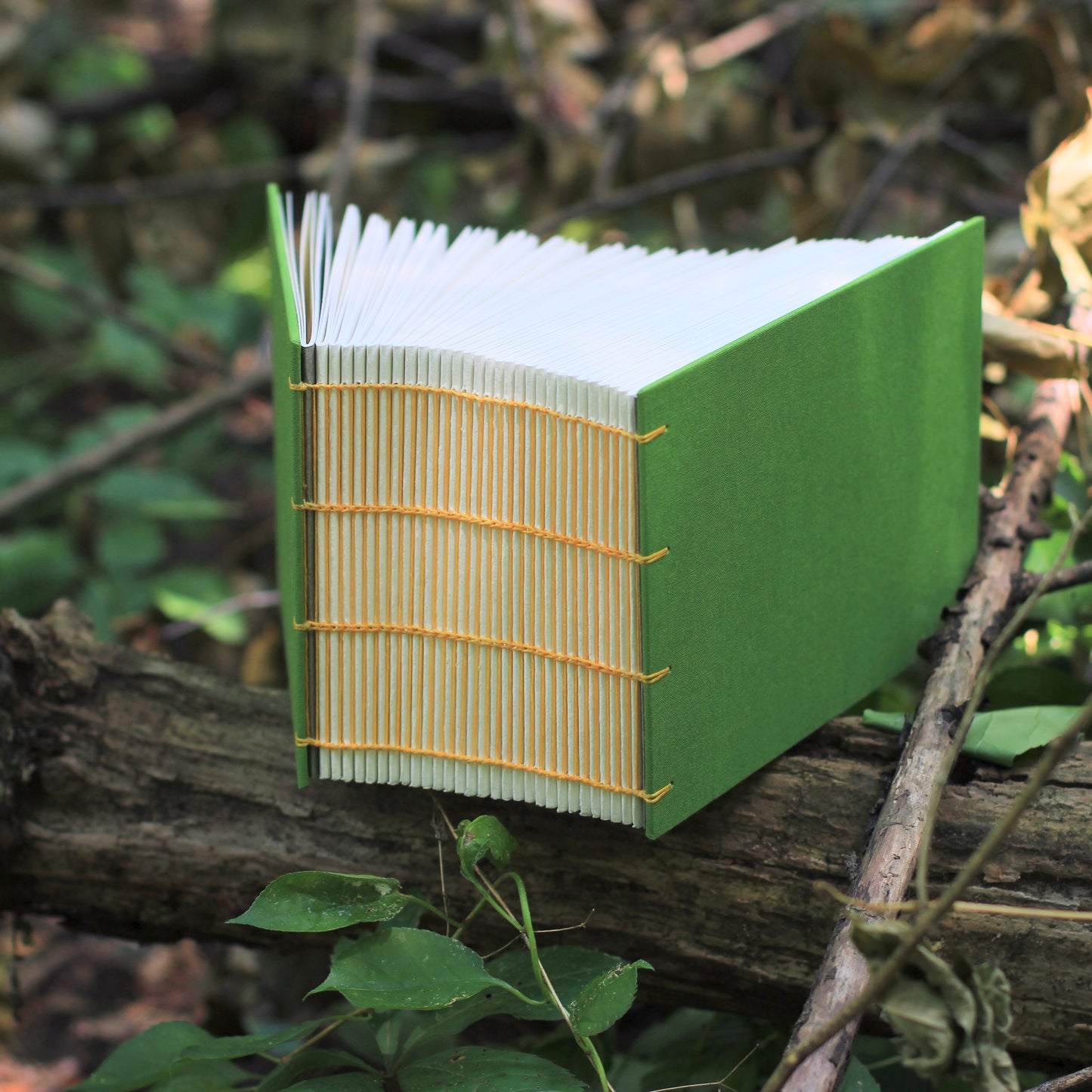 the sketch-a-day (365 pages)