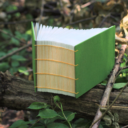 the sketch-a-day (365 pages)