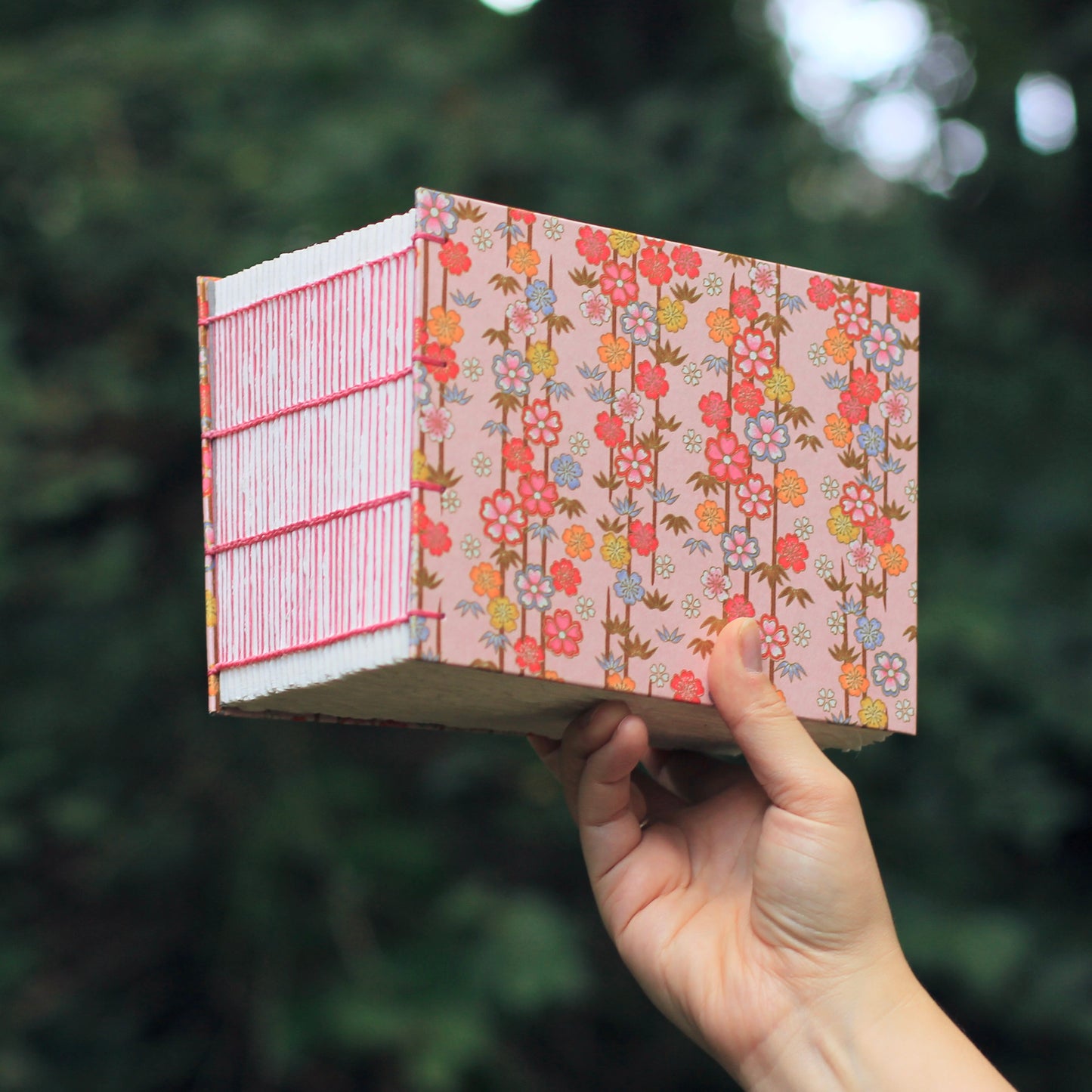 the sketch-a-day (365 pages)