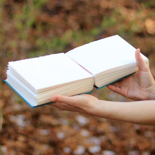 Open book held by a person against a natural background