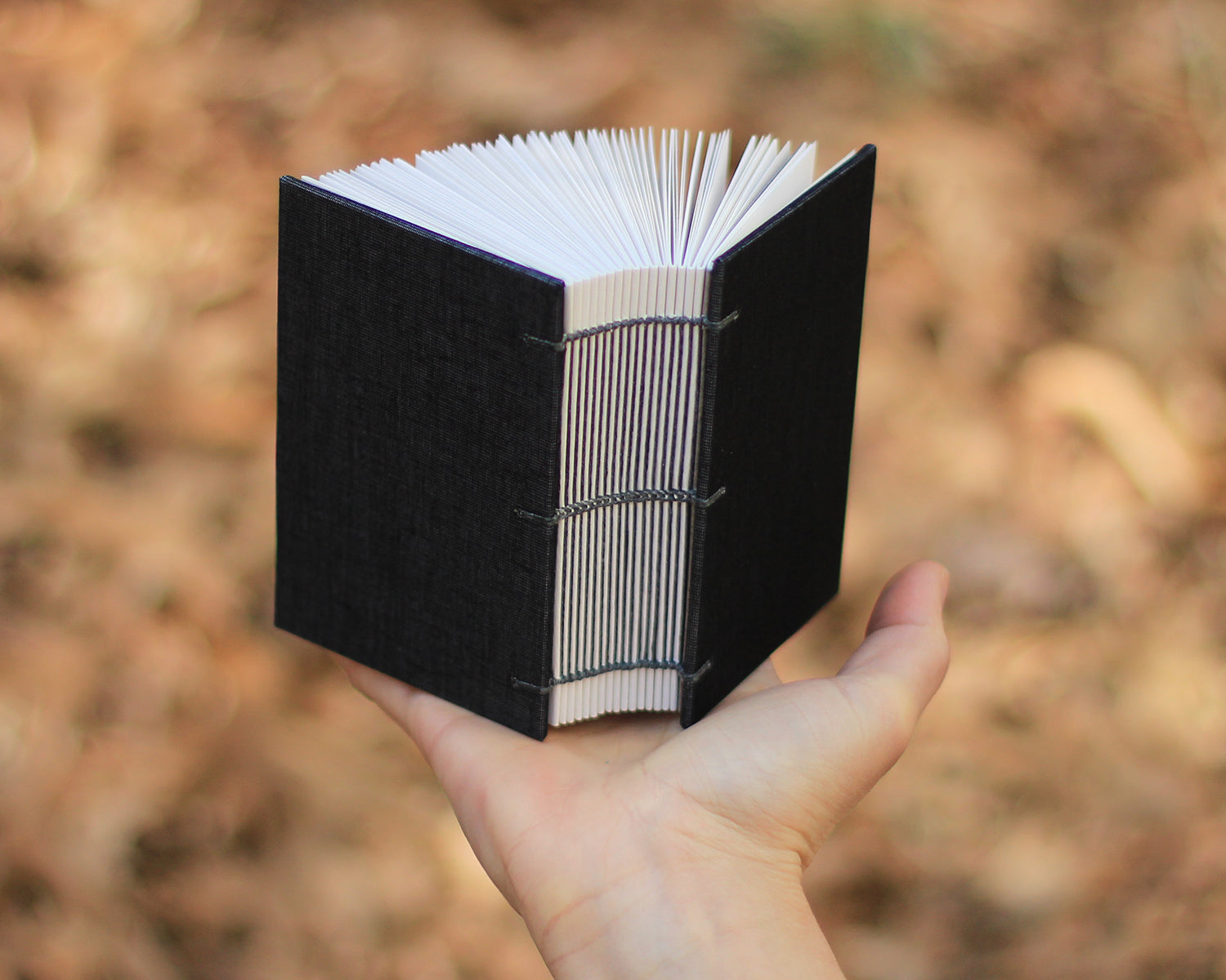 hand holding black sketchbook with lots of pages